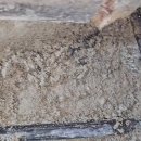 신유5차 이미지