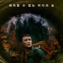 루프