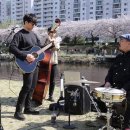 G9521 네이버블로그