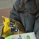 카페디테