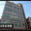 소나무 | [인천 요양원/추천/후기] 소나무요양원 심신 안정 돕는 통합 서비스