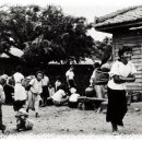 제주의 추억 이미지