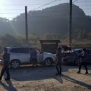 구림 금평교 Daum카페