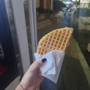 크레페니아 이미지
