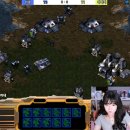 스타게임 이미지