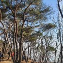 만남의광장 공영주차장 화장실 이미지