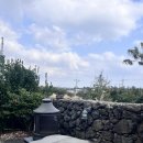 터 애견펜션 이미지