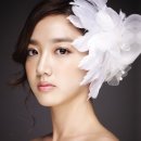 보떼룸