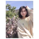 쏨 이미지