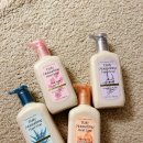 디자인웍스 | 배스앤바디웍스 신상 데일리 모이스처라이징 핸드솝 cucumber &amp; lily 향 후기