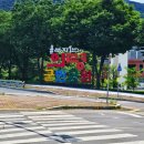 일육온천 이미지