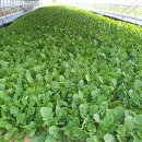 경빈농장2 이미지