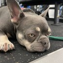 웰니스717 이미지