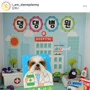 나는 댕댕 이미지