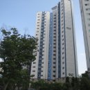 연세다건치과의원 이미지