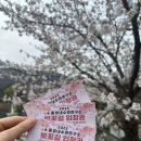 국립수산과학원 양양내수면연구소 | [가평 벚꽃 나들이 후기 🌸 가족과 함께한 힐링 주말]_중앙내수면연구소/경강역레일바이크
