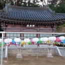 돈달산 이미지