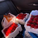 가나안농장2농장 | 부여 딸기 직판장 가나안딸기농장 방문 후기