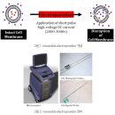 췌장·담도(담관)암의 새로운 치료법 비가역적 전기천공술(Irreversible electroporation, IRE) 이미지