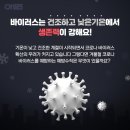 신하체육관 이미지