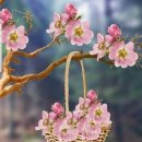 멋진하루 이미지