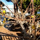 오늘도 12월 5일 열심히 열심히 연습 하였습니다 회원님들 께서 맛있는간식 사오셔서 감사히 맛있게 잘 먹었습니다 이미지