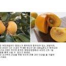만점농원 이미지