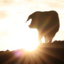 돈다산농장 이미지