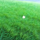 청맥 티스토리