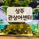 낙동어린이집 | 상주 관상어센터(내수면 관상어 비즈니스센터) 아이와 가볼만한곳 주차/입장료/편의시설 팁!