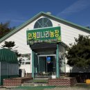 안계미나리농장 이미지