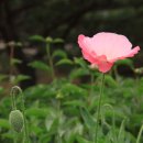 이영미술관 이미지