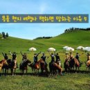 하나로여행사 이미지