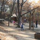 용인자연휴양림 이미지