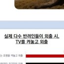 플레이독스 이미지