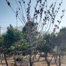 목천농장 이미지