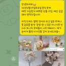 피오레초이 계약 후기(짝꿍) | 본식부케