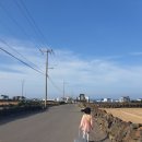 터낭하우스 | [제주 월정리 가성비 숙소 추천] 터낭하우스 솔직후기 (feat.101번 급행버스 탑승)