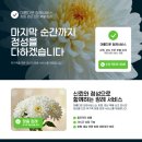 장유누가병원 네이버블로그