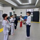 용인대 백호 태권도 이미지