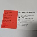 예스조명 | 2025 데이먼스 이어 콘서트 후기 (예스24 원더로크홀 1층 스탠딩 100번대 시야)