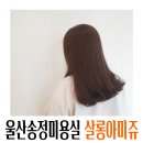 살롱아미쥬 | 울산송정미용실 살롱아미쥬 염색도 깔끔히 잘하네요!