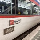 카페느리게 | [[ 여행 ]] 요즘 핫핫 "영월" 당일치기_청령포, 영월장릉, 박가네, 카페 느리게 솔직후기