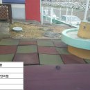 빛선교어린이집 이미지