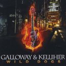 Catch Me When I Fall - GALLOWAY &amp; KELLIHER (2015) 이미지