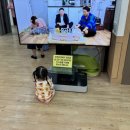 부천랜드주 이미지