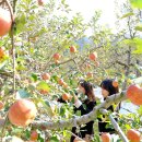 서나라농장 이미지