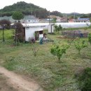 일죽농장 이미지