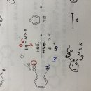 p287 벤자인제법 이미지