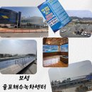 보성목욕탕 | 보성 율포해수녹차센터 방문 후기 야외 개인 래시가드 반입불가?